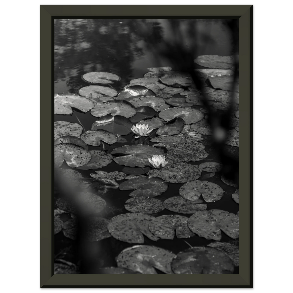 9919edbb-a1b1-474d-bfaa-99f5b41f9d34